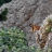 DSC_9547 a