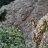 DSC_9549 a