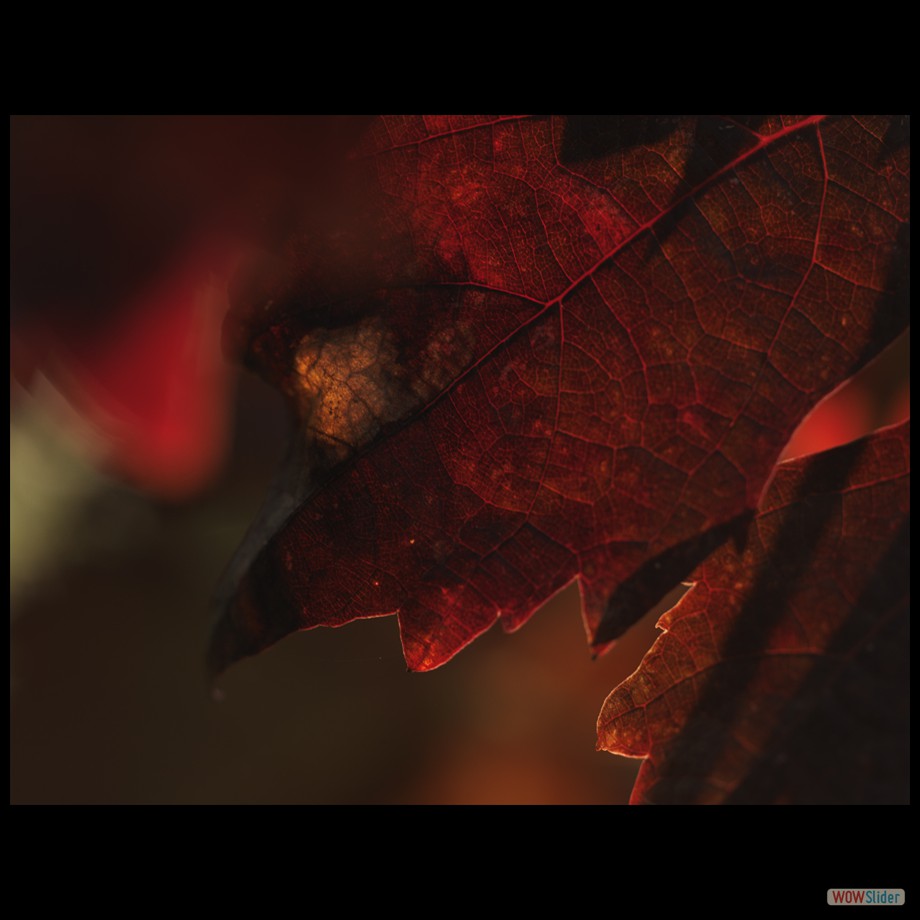 Job_0374