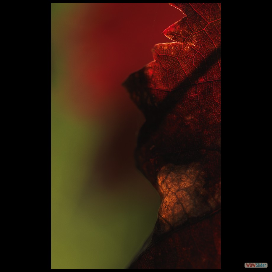 Job_0386