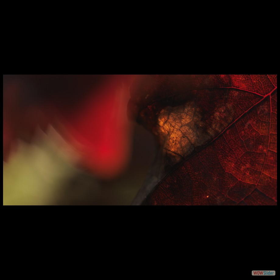 Job_0388