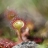 DSC_8719 a