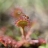 DSC_8727 a a