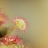 DSC_9274 a a