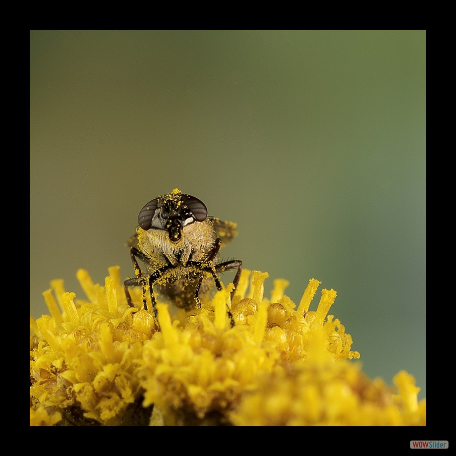 Job_0240 a