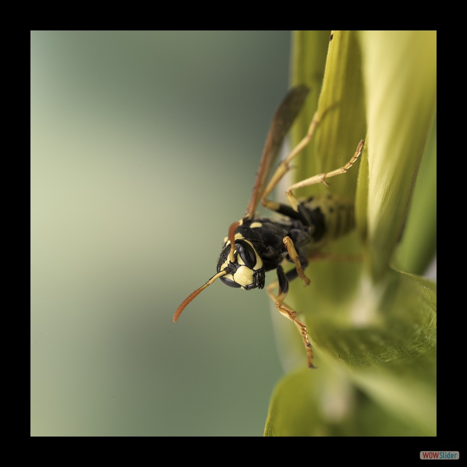 Job_0246 a