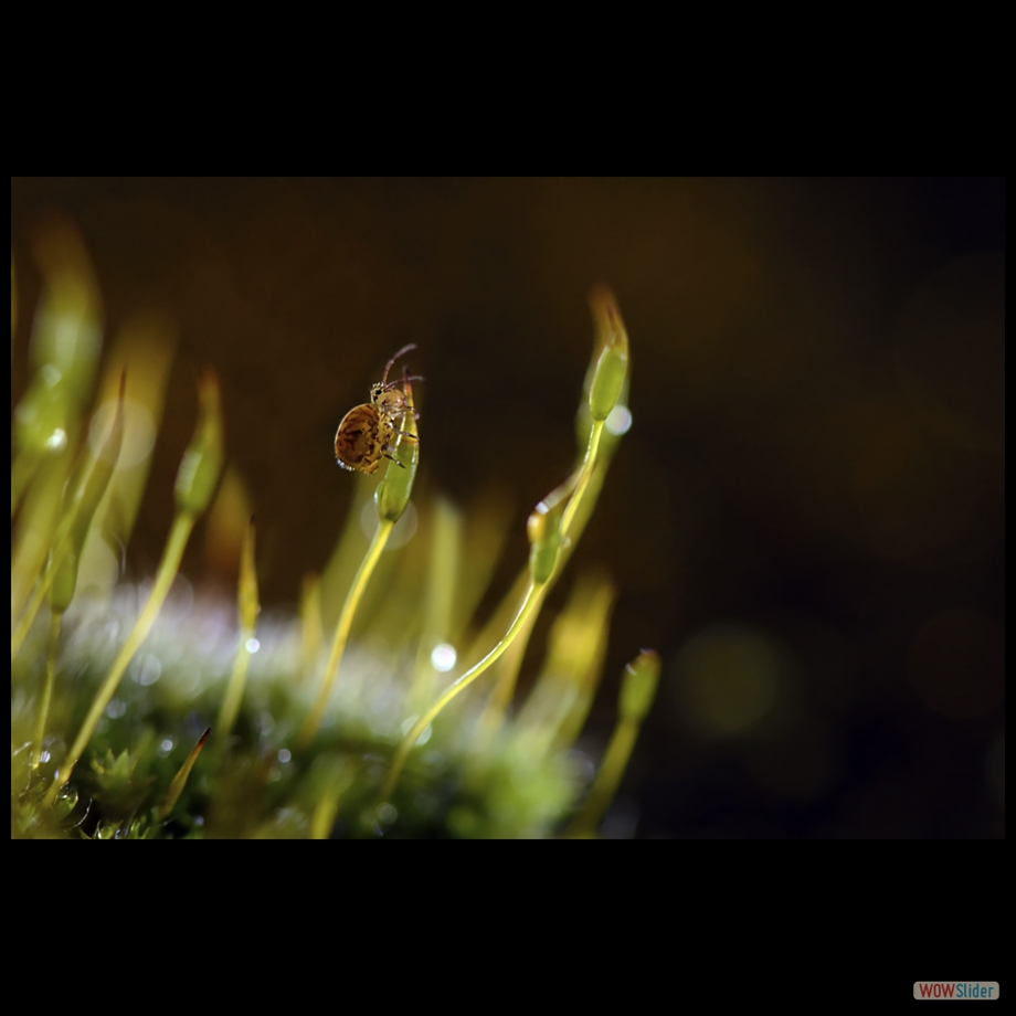 DSC_8757 a a