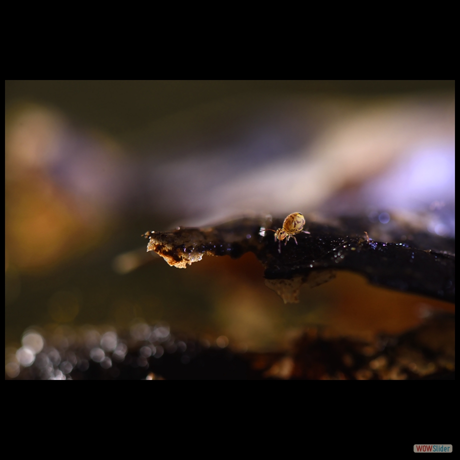 DSC_8815 a a