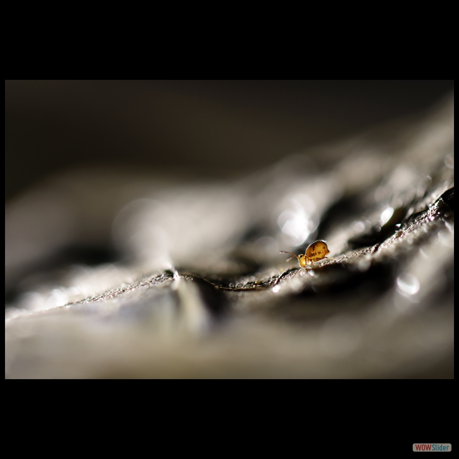 DSC_9969 a a