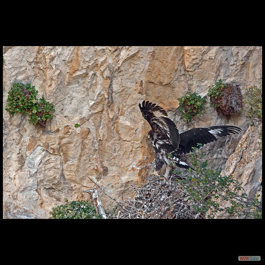 DSC_1739 a