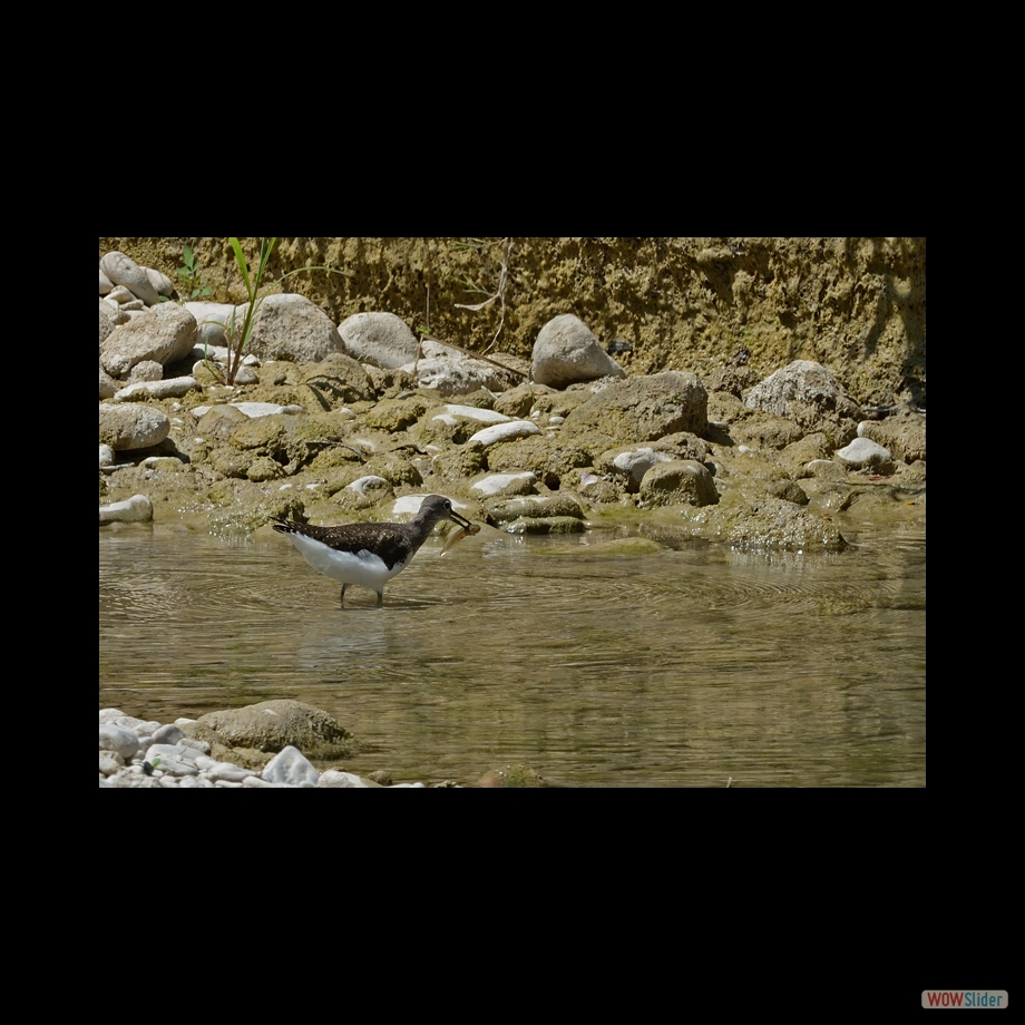 DSC_2764 a ac