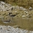 DSC_2748 a c
