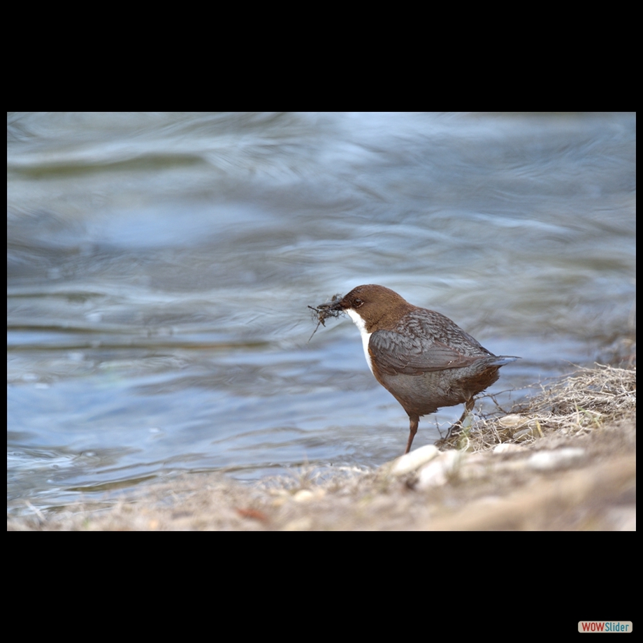 dsc_5518_a