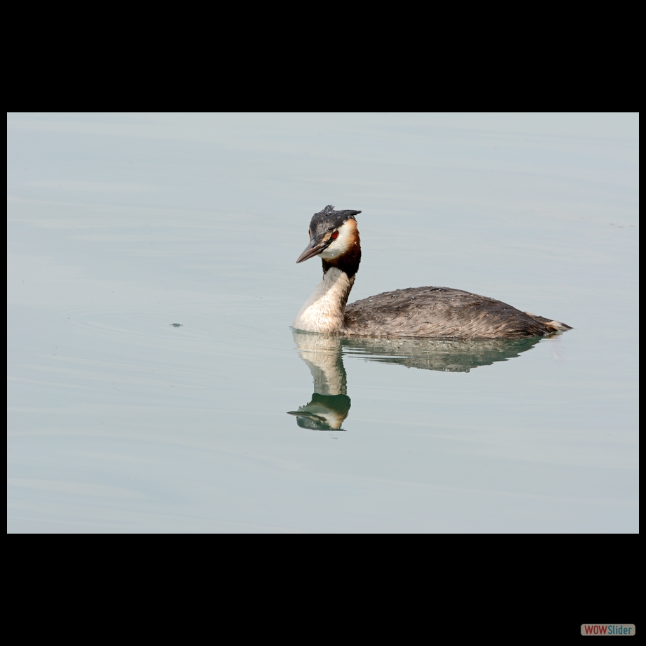 DSC_0161 a a