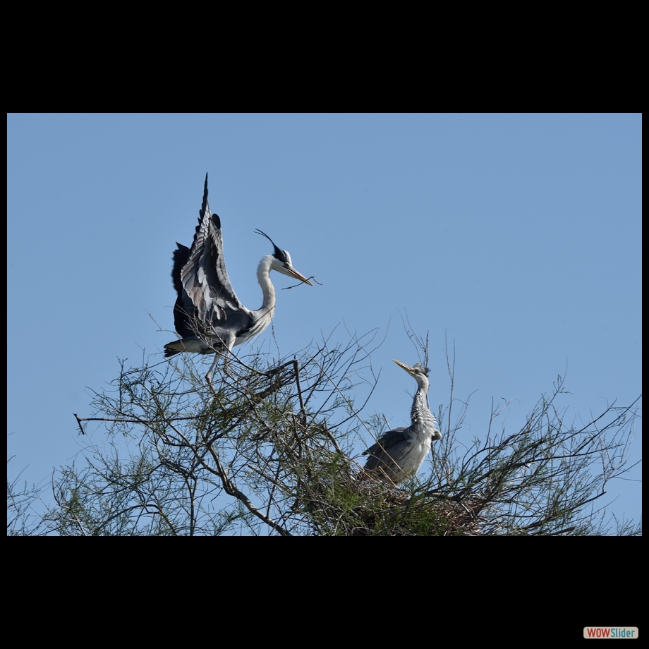 dsc_6996_a