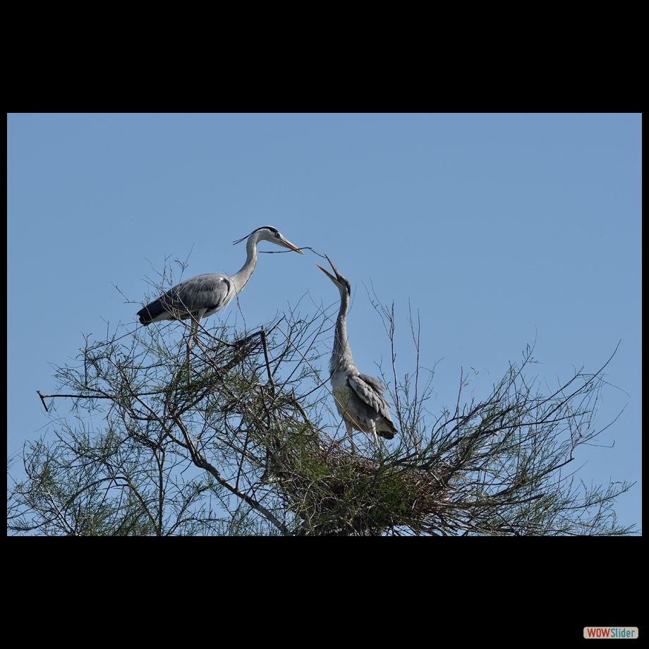 dsc_6997_a