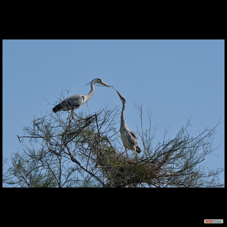 dsc_6999_a
