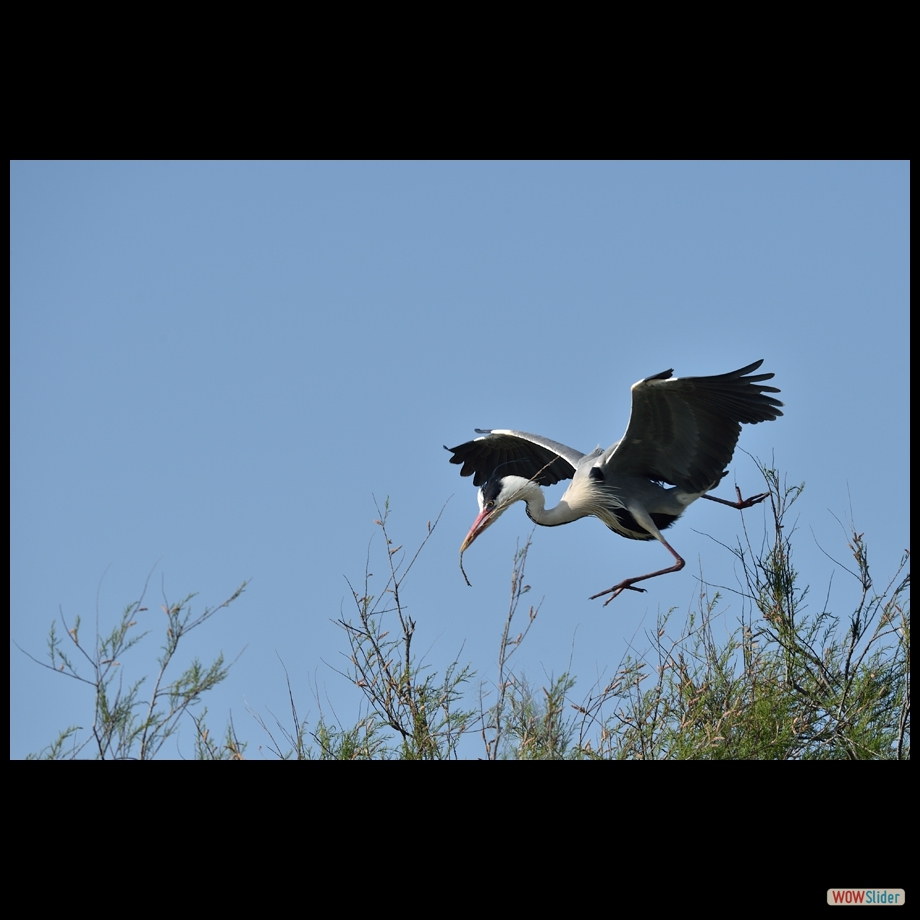 dsc_7190_a