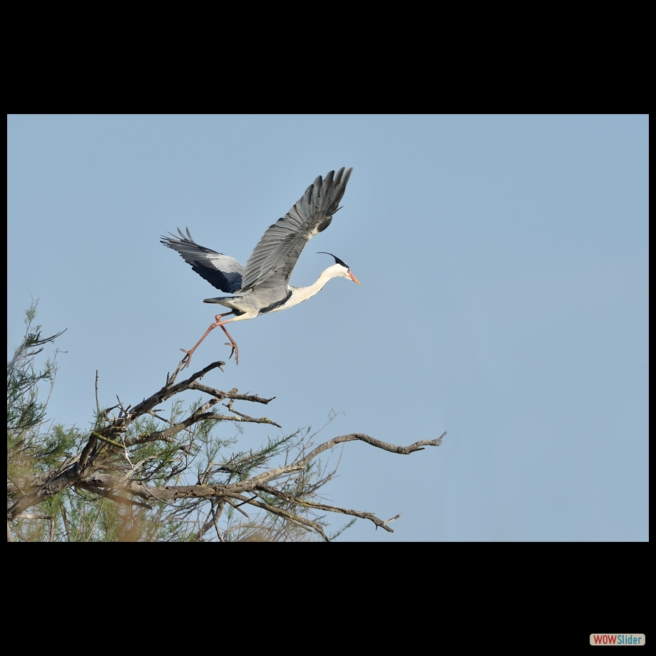 dsc_7244_a