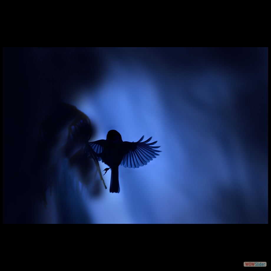 DSC_3457_01 a a